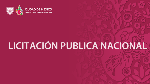 Bases Licitación Pública